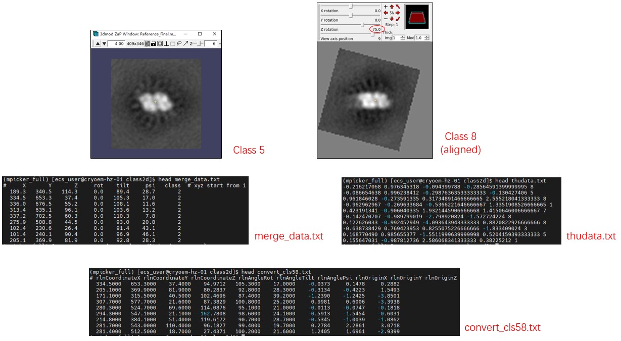 pick_class2d